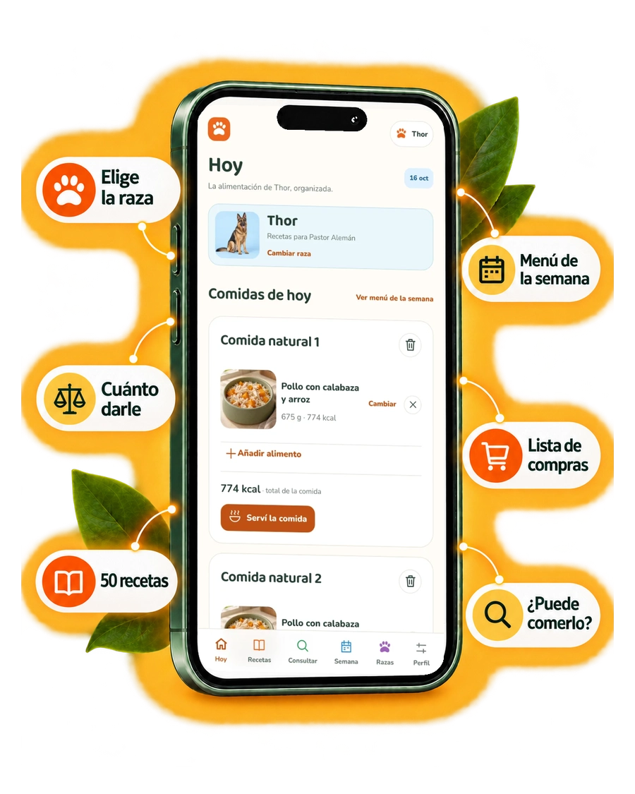 Aplicación Dog Chef Studio en el celular con elección de raza, cuánto darle, 50 recetas, menú de la semana, lista de compras y ¿Puede comerlo?