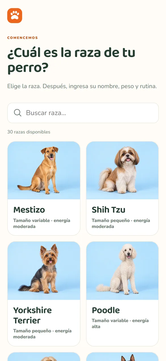 Conoce el Dog Chef Studio — pantalla real de la aplicación