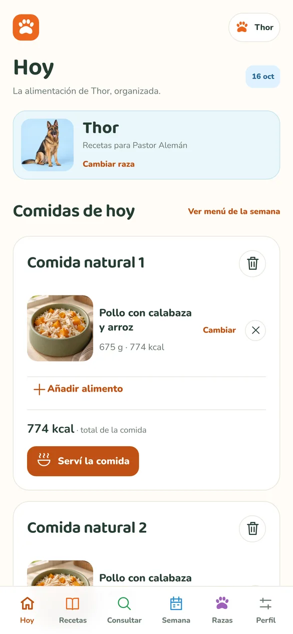 Pantalla de la app: Comidas de hoy