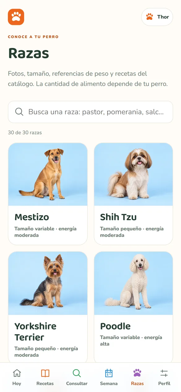 Pantalla de la app: 30 razas